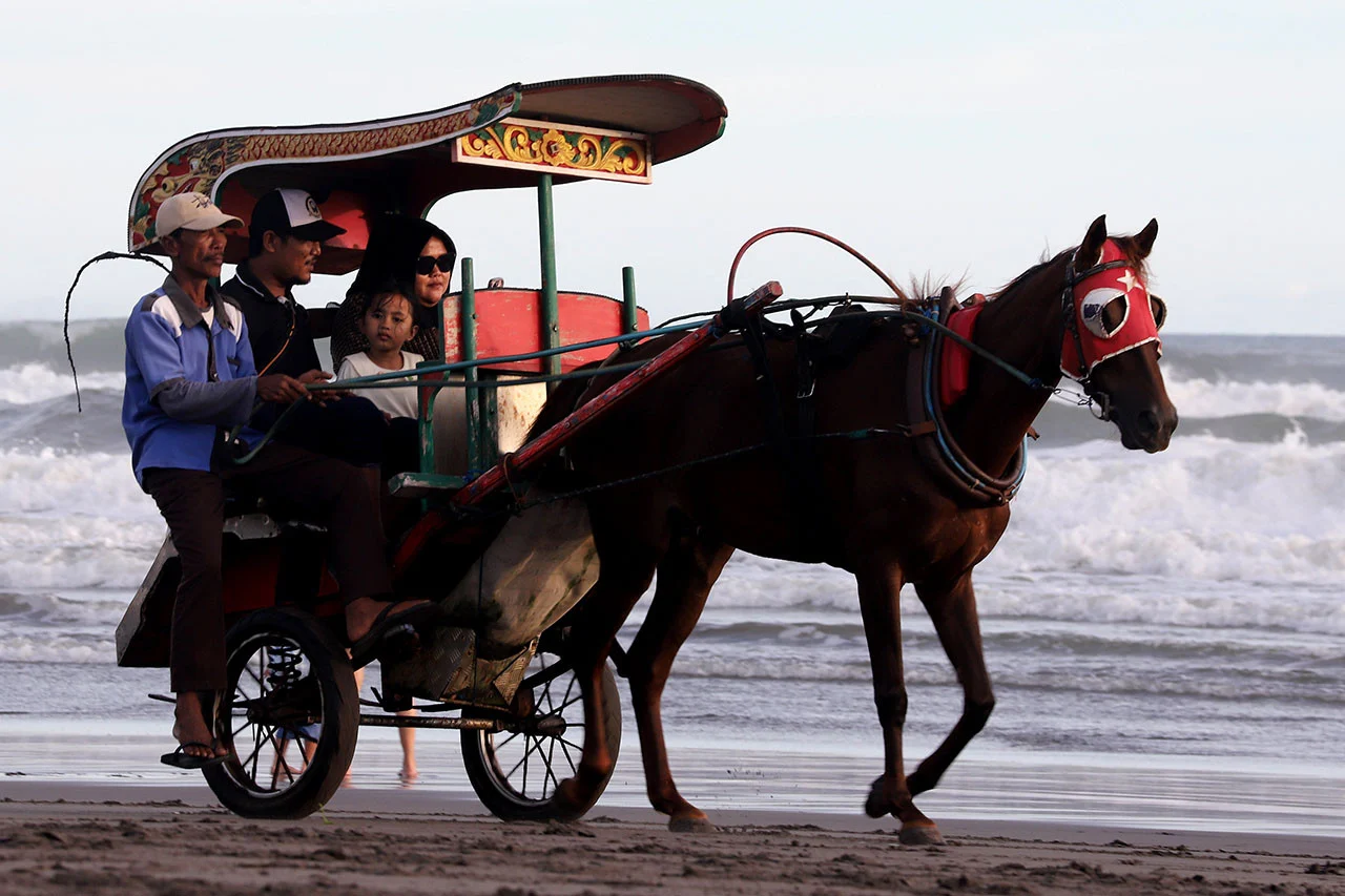 Delman Wisata Heritage Tradisional